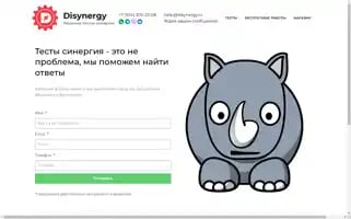 Disynergy.ru Screenshot 2024-06-17 22:34:18