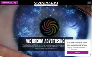 Vividcandi.com Screenshot 2024-06-29 23:43:21