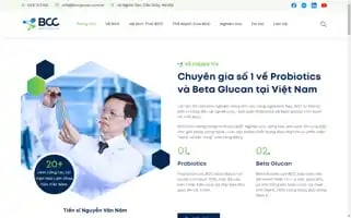 Bccgroup.com.vn Screenshot 2024-07-04 17:07:20