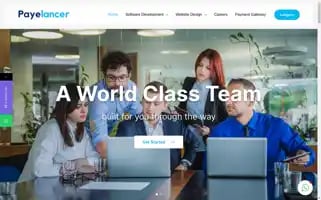 Payelancer.com Screenshot 2024-06-26 10:28:05