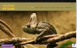 Reptiland.rocks Screenshot 2024-05-19 07:22:09