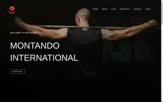 Montandointernational.com Screenshot 2024-05-29 13:54:25