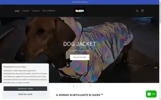 Sleekiridescentlook.com Screenshot 2024-05-03 19:09:32