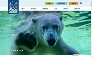 Pdza.org Screenshot 2024-05-13 08:29:36