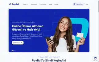 Paybull.com Screenshot 2024-06-28 06:00:58
