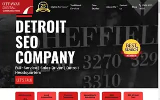 Detroitseocompany.com Screenshot 2024-06-13 04:45:37