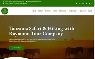 Raymondtours.com Screenshot 2024-04-15 14:09:01