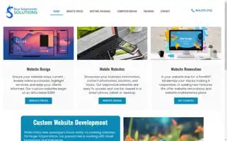 Bluesalamandersolutions.com Screenshot 2024-07-03 05:02:54