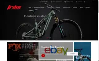 Tribesportgroup.com Screenshot 2024-07-06 20:45:15