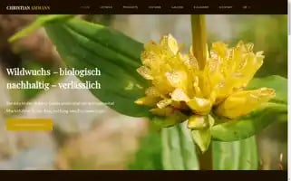 Christian-ammann.at Screenshot 2024-05-22 10:22:50