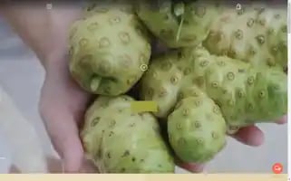 Nonifarm.tw Screenshot 2024-04-18 16:17:33