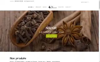 Nadur.fr Screenshot 2024-05-25 12:26:05