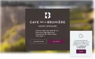 Bruniere.ch Screenshot 2024-06-11 13:04:58