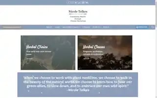 Nicoletelkes.com Screenshot 2024-07-05 02:34:16