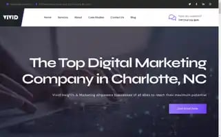 Digitalmarketingvivid.com Screenshot 2024-06-16 09:30:30