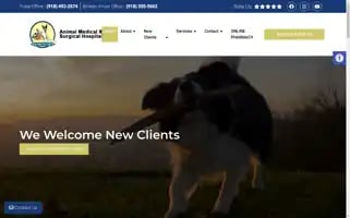 Amshpetvet.com Screenshot 2024-05-15 11:41:27