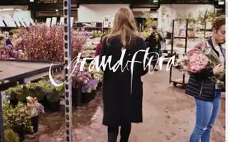 Grandiflora.net Screenshot 2024-07-04 16:46:56