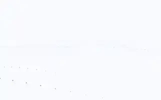 Cantatar.com Screenshot 2024-07-08 10:42:09