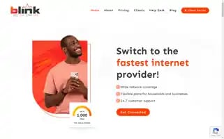 Blink.co.tz Screenshot 2024-06-26 23:26:28