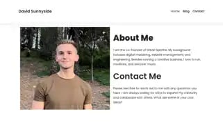 Davidsunnyside.com Screenshot 2024-07-08 19:56:38