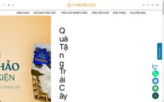 Vinfruits.com Screenshot 2024-06-19 06:38:58