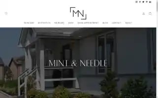 Mintandneedle.com Screenshot 2024-05-05 22:55:58