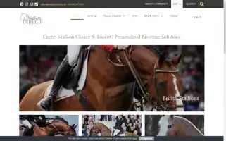 Stallionsdirect.uk Screenshot 2024-05-24 18:51:21