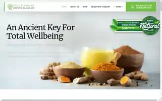 Vanchintaluru.com Screenshot 2024-05-16 23:09:20