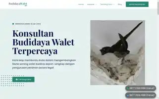 Budidayawalet.net Screenshot 2024-06-18 18:26:05