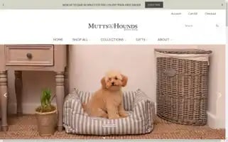 Muttsandhounds.co.uk Screenshot 2024-05-04 23:20:10