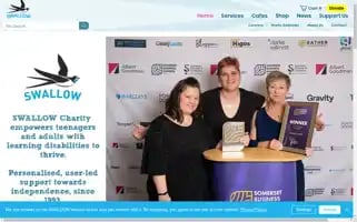 Swallowcharity.org Screenshot 2024-07-03 05:34:25