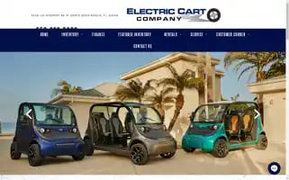 Electriccartcompany.com Screenshot 2024-05-09 13:27:53