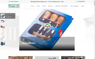Roggi.is Screenshot 2024-07-08 19:16:08