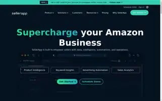 Sellerapp.com Screenshot 2024-05-13 21:04:45