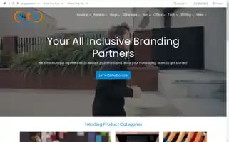 Stsbrand.com Screenshot 2024-05-14 02:52:43
