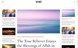 Troid.org Screenshot 2024-06-30 08:16:27