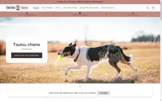 Toutouchiens.com Screenshot 2024-05-04 01:35:33