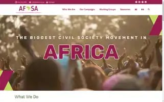 Afsafrica.org Screenshot 2024-06-30 00:48:48