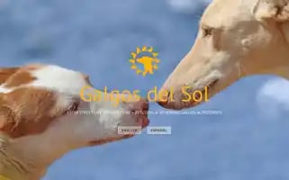 Galgosdelsol.org Screenshot 2024-06-27 13:19:03
