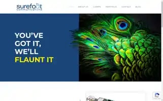 Surefoot.tv Screenshot 2024-05-14 03:42:13