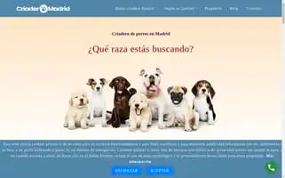 Criaderoperrosmadrid.es Screenshot 2024-05-28 01:07:48