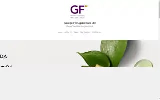 Gfsltd.com Screenshot 2024-07-10 00:51:29
