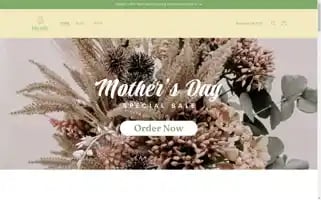 Blendsbybalancingher.com Screenshot 2024-05-03 08:41:23