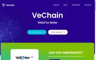 Vechain.org Screenshot 2024-07-01 15:11:18