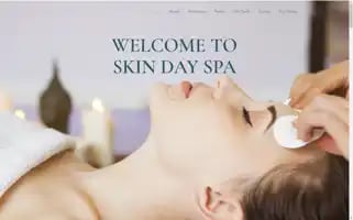 Skindayspahouston.com Screenshot 2024-05-16 17:38:59