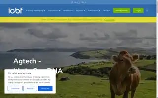 Icbf.com Screenshot 2024-07-03 08:38:31