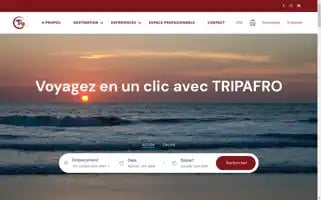 Tripafro.store Screenshot 2024-05-29 13:00:51