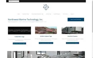 Nmt.us Screenshot 2024-05-15 07:09:52