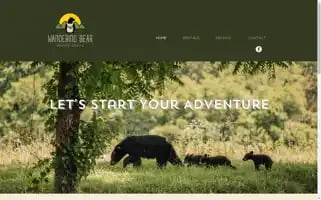 Wanderingbearvacations.com Screenshot 2024-04-23 10:05:06