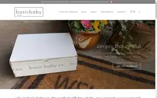 Basicbabyco.com Screenshot 2024-06-11 14:52:52